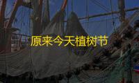 原来今天植树节