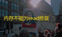 内存不能为read修复工具